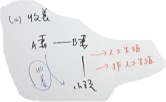 孕母卵母同一人 收養