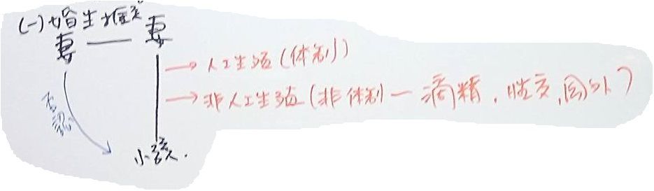 孕母卵母同一人 婚生推定