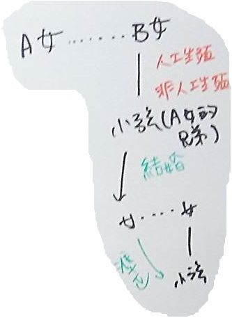 女同志沒結婚 準正