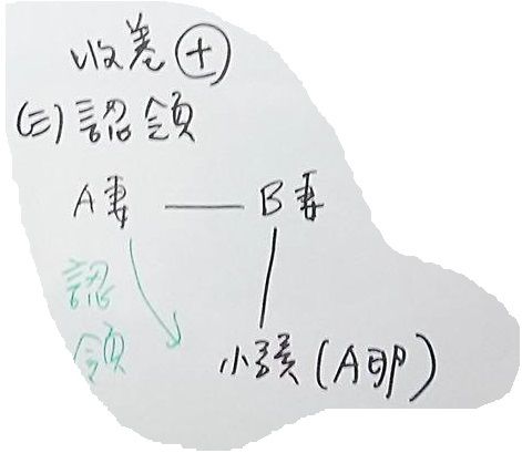 收養 認領