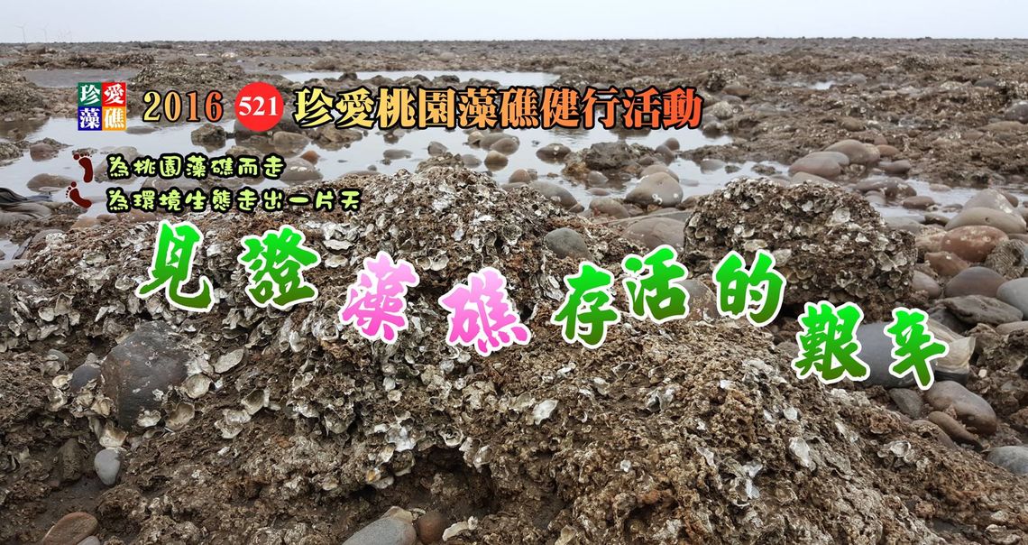 2016桃園藻礁健行